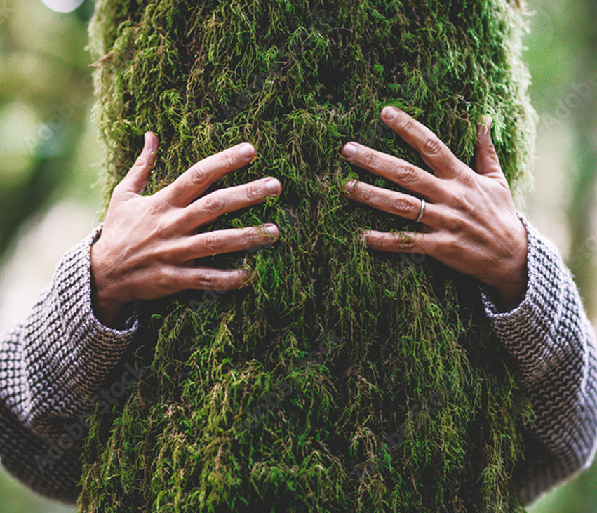 Objęcie drzewa – małe gesty, prawdziwa zmiana